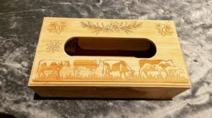 02394E52-B71A-4111-B9E3-9834137F448C