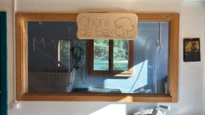 0c6f236f-c3b3-4f50-a83a-ac47674ff7ff