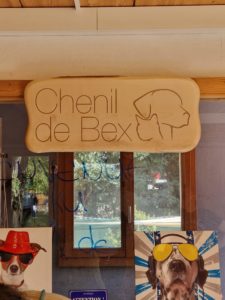 18300e20-9eb4-42b4-b09c-e3b9259bf57b