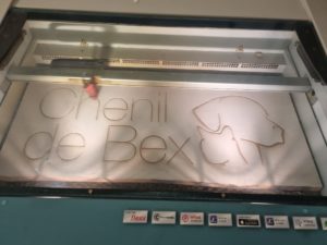 5fc8fa29-5d9d-4793-9823-f96dbf828694