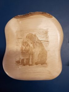 74322922-6f99-43e5-964c-ae55a4eae5ad