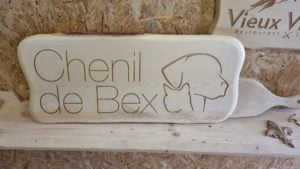 8251fe86-1d24-4342-bed2-557fea917ad2