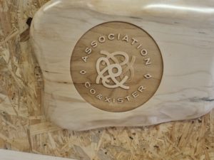 aa0ab511-5dff-475a-b3ce-8b7884337fa9